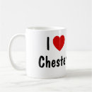Suche nach chester Stadt