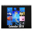 Suche nach quallen kalender Für alle