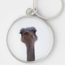 Suche nach strauß schlüsselanhänger Tier