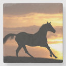 Suche nach arabische pferde untersetzer Reiter