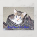 Suche nach bluse postkarten Katze