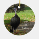 Suche nach turkey ornamente Natur