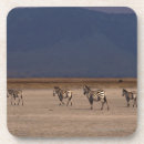 Suche nach wir sind alle geschichten untersetzer Natur