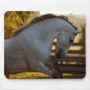 Suche nach stute mousepads Stallion
