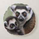 Suche nach lemur kissen Primat