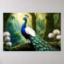 Suche nach white peacock poster Federn