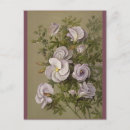 Suche nach vintage flowers postkarten Für alle