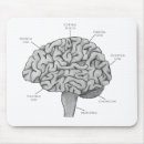 Suche nach anatomisch mousepads Neurologie