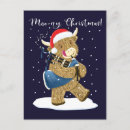 Suche nach highland cow postkarten Schottland