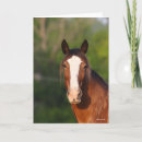 Suche nach clydesdale karten Bob langrish