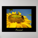 Suche nach garten mit sonnenblumen poster Jede person