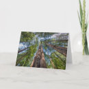 Suche nach redwood karten Baum