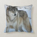 Suche nach canis lupus kissen Wild lebende tiere