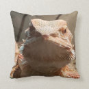 Suche nach lizard kissen Amphibien