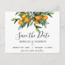 Suche nach mandarine postkarten Paar