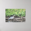 Suche nach see leinwandbilder Vogelvogel