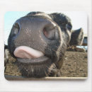 Suche nach moo kuh mousepads Bauernhof