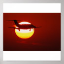 Suche nach cessna poster Himmel