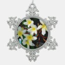Suche nach frangipani ornamente Tropisch