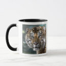 Suche nach der tigris tassen Tiger