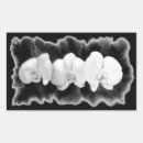 Suche nach orchidee aufkleber Tropisch