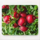 Suche nach äpfel mousepads Obst