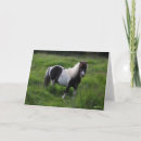 Suche nach shetland pony karten Rasse