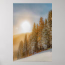 Suche nach winterwald poster Baum