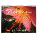 Suche nach mohnblume kalender Flora