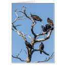 Suche nach genealogie karten Vorfahren