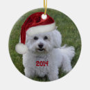 Suche nach zucht ornamente Jede person