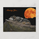 Suche nach mexikanischer wolf postkarten Wölfe