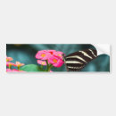 Suche nach rosa schmetterling autoaufkleber Flügel