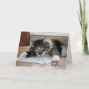 Suche nach birthday song karten Katze