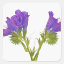 Suche nach viper aufkleber Blume