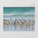 Suche nach verwirrung postkarten Verloren