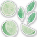 Suche nach zitrusfrucht aufkleber Nahrung