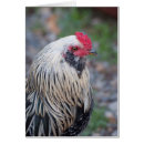 Suche nach weiße feder karten Schwarz