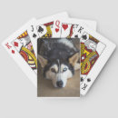 Suche nach der gitarre spielt spielkarten Hund