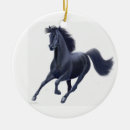 Suche nach schwarzes pferd ornamente Pony