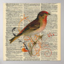 Suche nach vogelkäfig poster Illustration