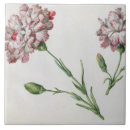 Suche nach pre 19th fliesen Gartennelken