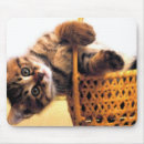 Suche nach braunes auge mousepads Niedlich