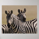 Suche nach reserve poster Horizontal