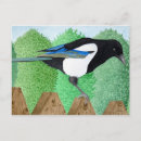 Suche nach magpie postkarten Vogel