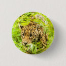 Suche nach geparden buttons Jede person
