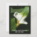 Suche nach calla postkarten Blumenreich