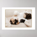 Suche nach spielend poster Spielerisch