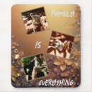 Suche nach meerkats mousepads Suricata