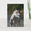 Suche nach araber karten Stehend